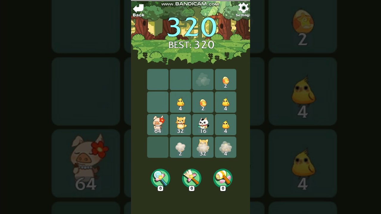 2048 pet