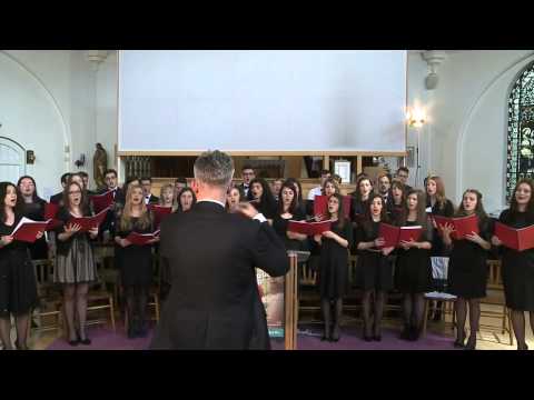 Amicus Timisoara   De as incerca