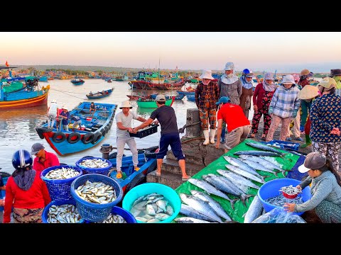 O porto de pesca está repleto de frutos do mar. Especialidades do mercado do mar