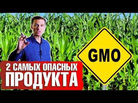 Продукты, содержащие ГМО ► Чем опасны соя и кукуруза? ????