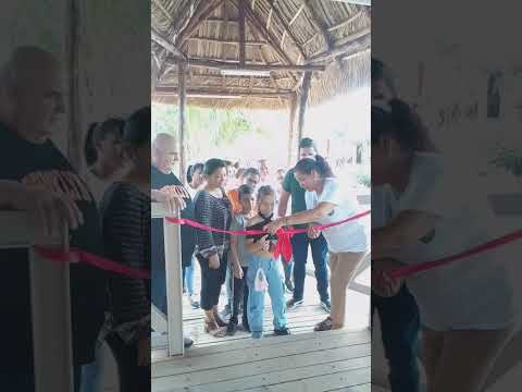 67 Aniversario del Triunfo de la Revolución y 15 años de la Provincia Artemisa