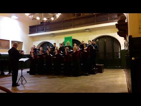 Argintul pentru „Voces” la Praga