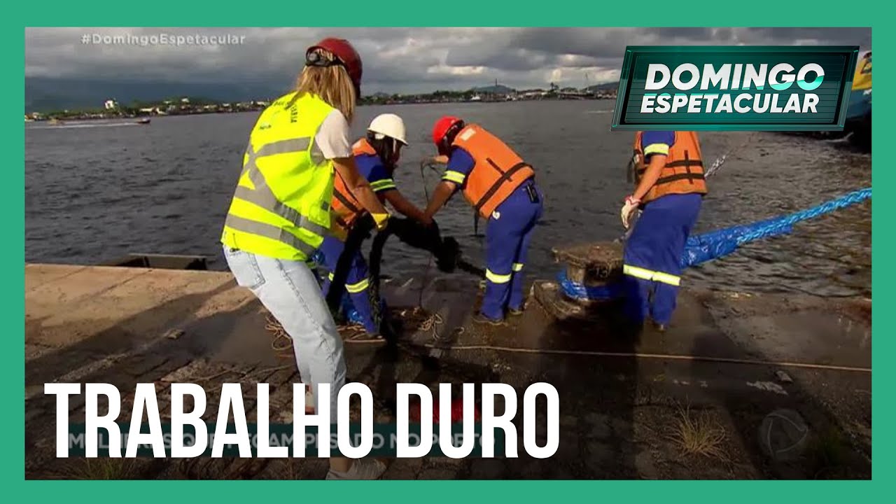 Domingo Espetacular mostra o trabalho de mulheres que se destacam no principal porto do país