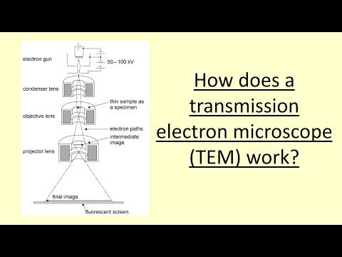 14.16 How does a transmission electron microscope TEM work