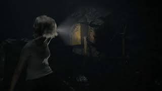 #4 BIOHAZARD requiem