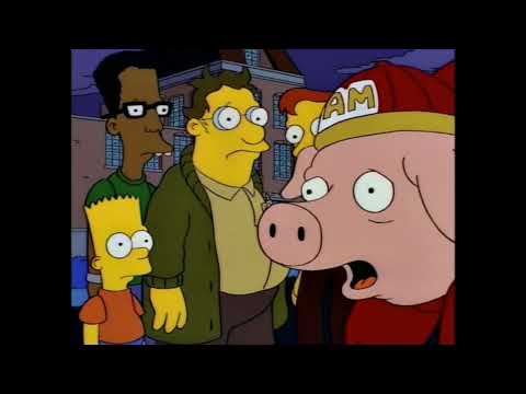 Curly. Straight. Curly. Straight.