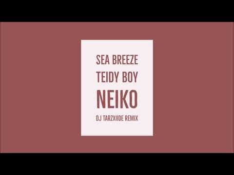 Sea Breeze - Neiko (feat. Teidy Boy) DJ TarzXiide Remix
