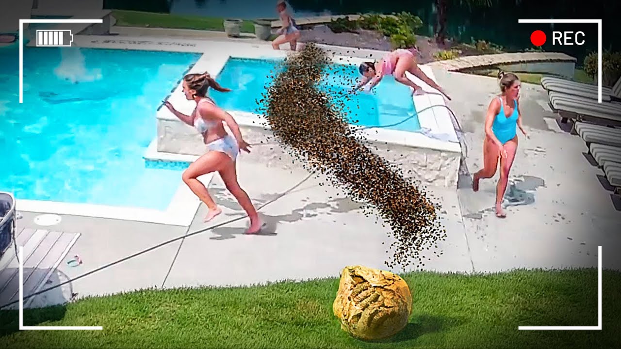 رصدت الكاميرات هذه الأحداث الغريبة التي تم تصويرها خلال العطلة الصيفية