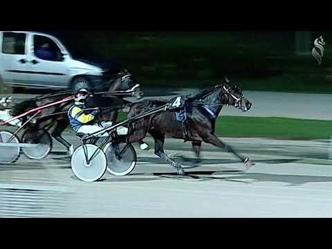 Aversa trotto 9 Dicembre 2020 - 6° Corsa