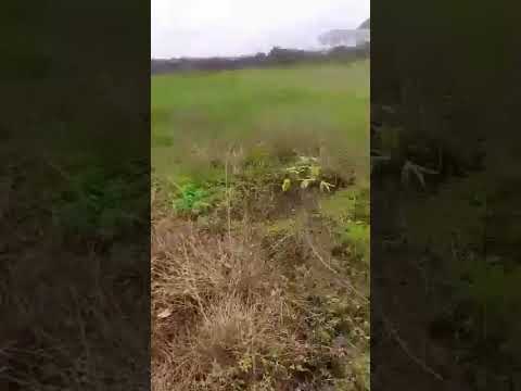 26 Plots of Fenced Dry Land for Sale Off Gulf Road, Ibeju-Lekki