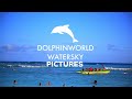 DolphinWorldWaterSkyEntertainment Pictures ID 2022 Logo