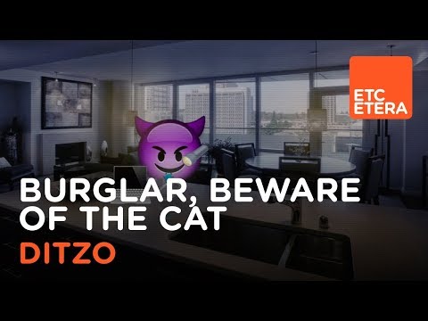 ⁣Burglar, beware of the cat
