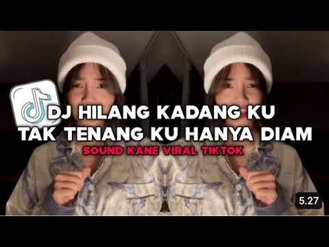 DJ MALAM PAGI REMIX TIKTOK. FUJI DJ HILANG KADANG KU TAK TENANG KU HANYA DIAM. #fujian #saixse