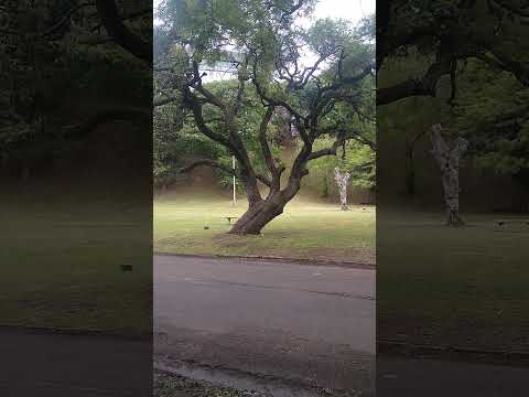 Green Spaces in Parana. Entre Rios, Argentina.