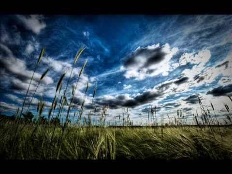 Arion Grey, Dave Ferol - Shiny Walk ( Maindave 147 Blue Mix )