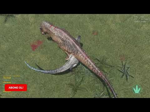 One Allo vs One Rex - 1v1 -  The Isle Legacy