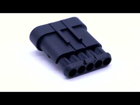 動画を再生