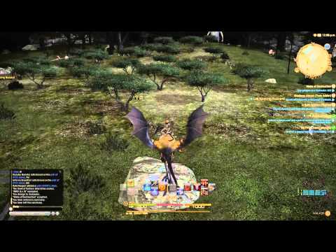 Marauder Class Quest - Level 10