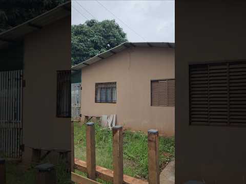 VENDE-SE CASA BEIRA DO RIO PARANÁ ALTONIA PR #vendas