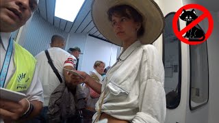 Smuggling A Street-Cat out of Cuba 🇨🇺 - YouTube