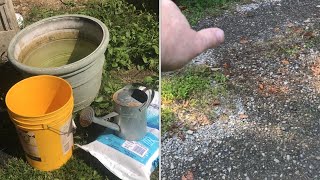 VERY low cost, effective method for “killing weeds” (high concentration salt water)
