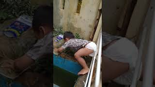 Download lagu detik detik balita jatuh ke kolam lele #balita #short mp3