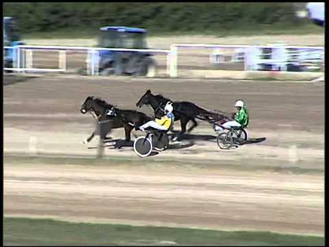 Trotto 23/10/2014 - 1° prova di riqualifica