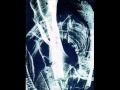 NOSFERATU-Darkness Brings