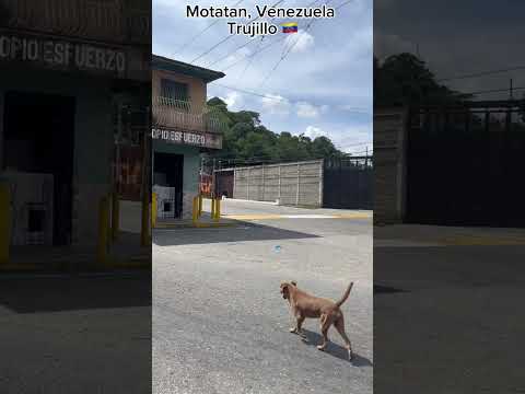 🇻🇪 MOTATAN en una mirada rapida, VENEZUELA #virtualtour #motatan #trujillo #venezuela
