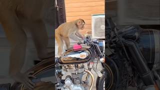 Download lagu Ye kya huaa 😱😱#shorts mp3