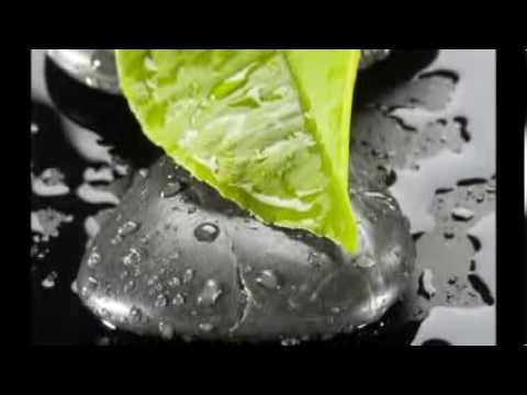 Te Amo video