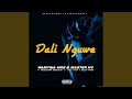 Wanitwa Mos & Master KG - Dali Nguwe (feat. Nkosazana Daughter, Basetsana & Obeey Amor)