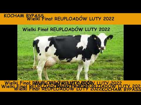 Oorbit x Kuszcz - Halva REUPLOAD (FINAŁ)