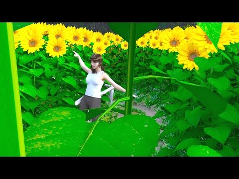 CGI Animated Short Film HD: "Sunny Bunny" by Achromatopia