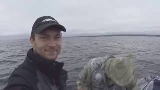 Ссылка