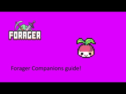 Forager - Pets explained in 1 minute