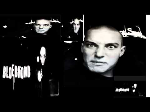 STEEN FT BLOEDHOND - BLOEDDORSTIG