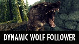 Skyrim Mod: Dynamic Wolf Follower
