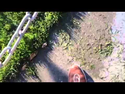 Vv kloetinge winnende goal