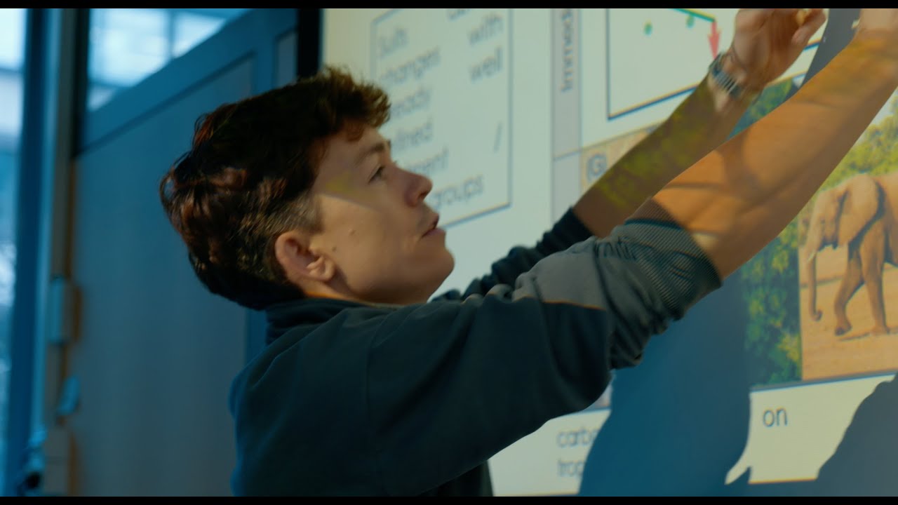 BioVar. Biodiversity Value At Risk