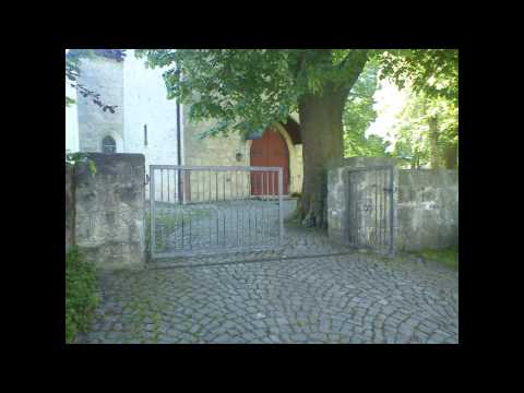 Best of Wallensen ♥