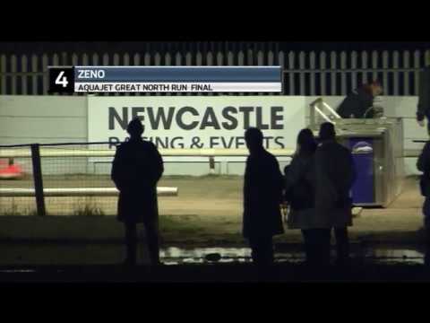 2019 GREAT NORTH RUN FINAL - T4 ZENO