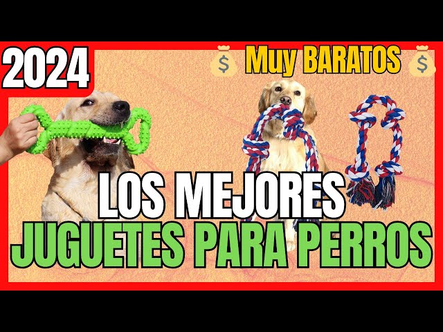 Vídeo relacionado con CÁDIZ CF - Juguete de Cuerda para Perros, Talla Única, para Perro Grande, Mediano y Pequeño, 20 x 1.5 x 20 cm, Producto Oficial de (CyP Brands).
