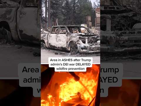 Area in ASHES after Trump admin’s DEI war DELAYED wildfire prevention