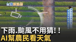 天氣變臉太快怎麼辦? AI氣象改寫農業命運 一塊田一個預報! AI幫農民量身訂製防災計畫│主播 苑曉琬│【台灣新思路】20251017│三立iNEWS