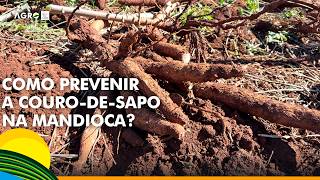 Miniatura do vídeo