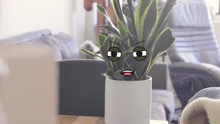 Plant Roommate Hates Amazon