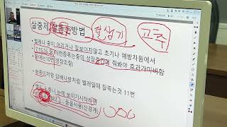 살충제 잘하는 방법