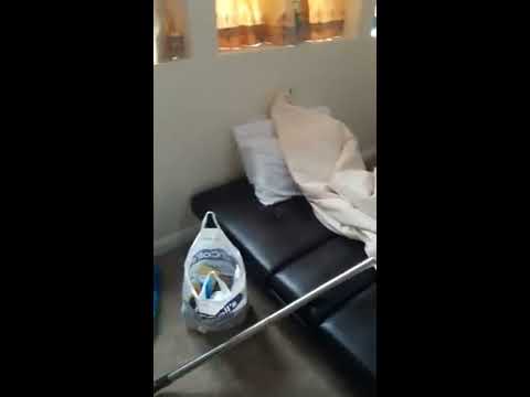 Neatfix Services video.