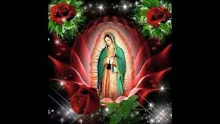 mi virgencita